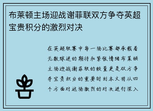 布莱顿主场迎战谢菲联双方争夺英超宝贵积分的激烈对决